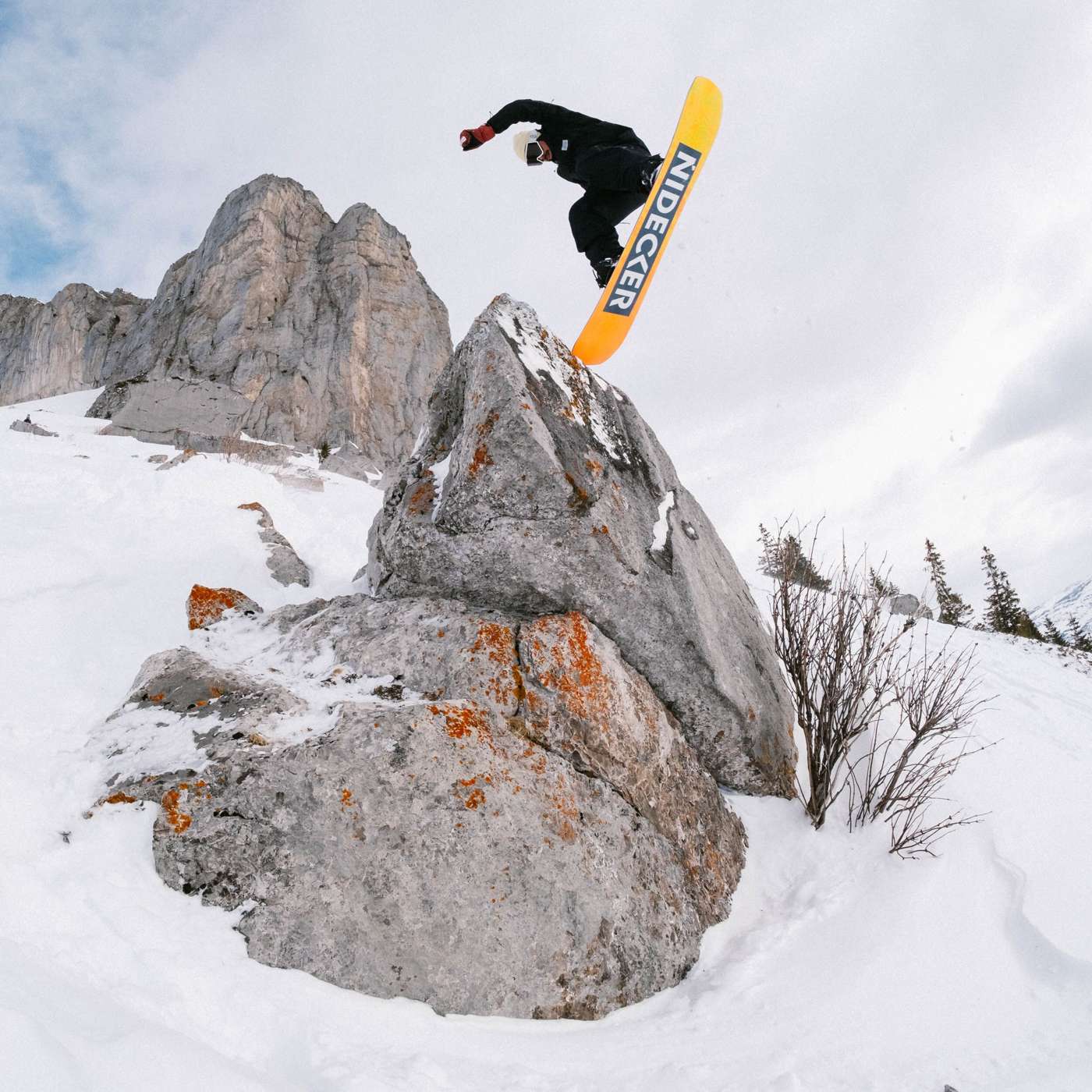 Sensor 2025 | Nidecker | CA Sensor 2025 Snowboards Nidecker Premium Swiss Snowboard