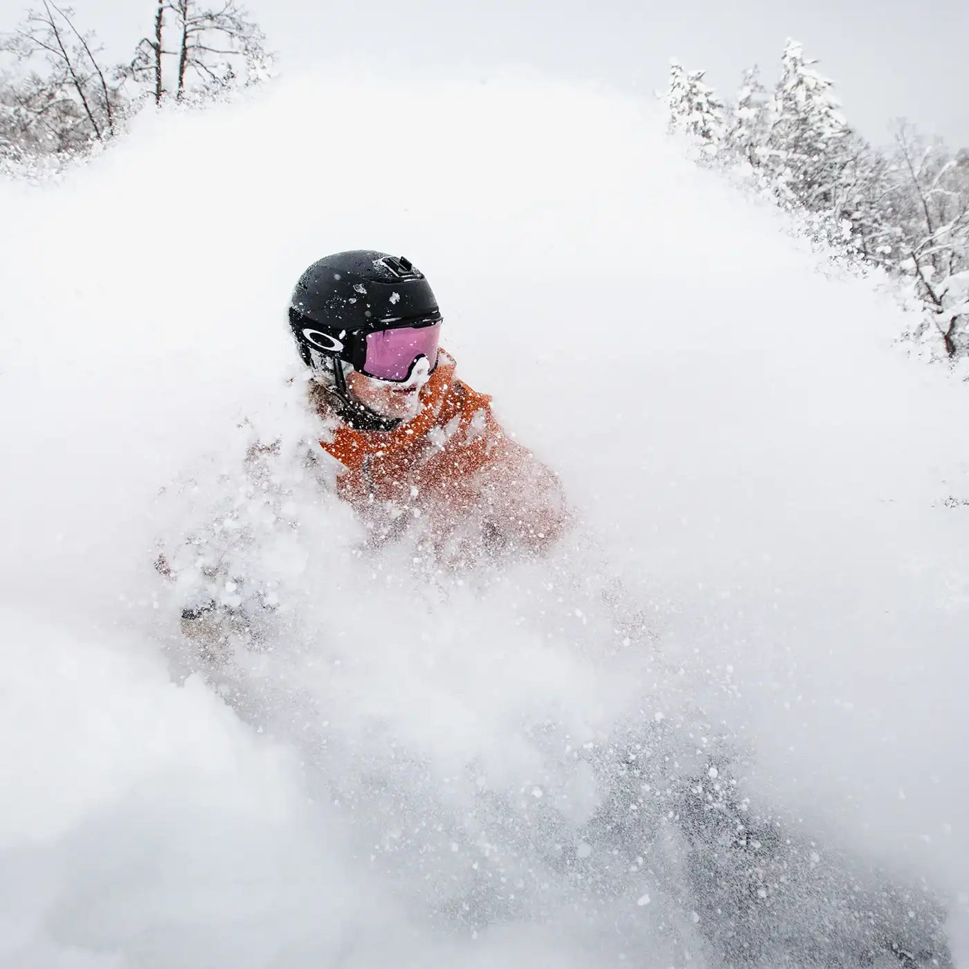 Test de la traduction française.