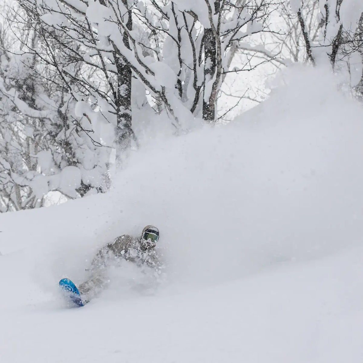 Beta 2026 | Expand Your Horizons | Nidecker | CA Beta Snowboards Nidecker Premium Swiss Snowboard