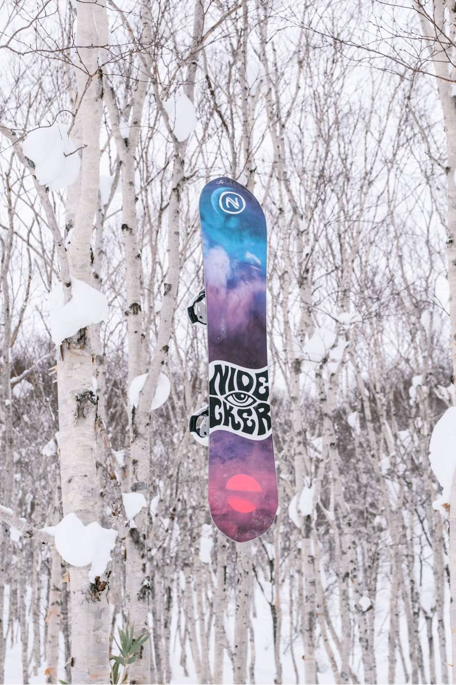 Alpha Apx 2024 | Nidecker | CA Alpha Apx 2024 Snowboards Nidecker Premium Swiss Snowboard 7630463474143 N.24.SNM.APX.XX.153.1