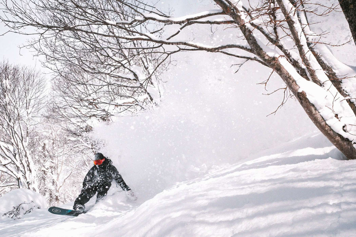 Escape Plus 2024 | Nidecker | CA Escape Plus 2024 Snowboards Nidecker Premium Swiss Snowboard
